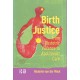 Birth Justice: From Obstetric Violence to Abolitionist Care