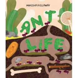 Ant Life