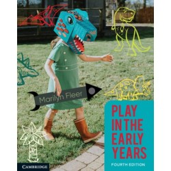 Play in the Early Years