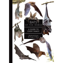 Bats of the World: A Guide to Every Family