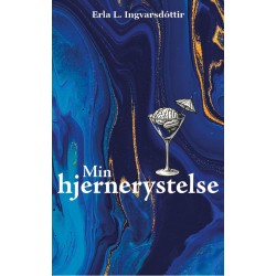 Min hjernerystelse
