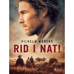 Rid i nat!: roman fra Värend år 1650