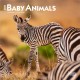 Baby Animals 2026 Mini 7x7 Calendar