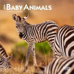 Baby Animals 2026 Mini 7x7 Calendar