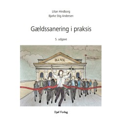 Gældssanering i praksis