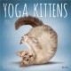Yoga Kittens 2026 Square Plato Calendar