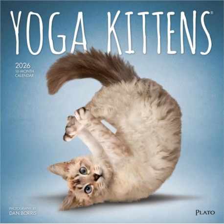 Yoga Kittens 2026 Square Plato Calendar