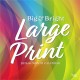 Big & Bright Large Print 2026 Square Flap Matte Calendar