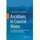 Ascidians in Coastal Water: A Comprehensive Inventory of Ascidian Fauna from the Indian Coast
