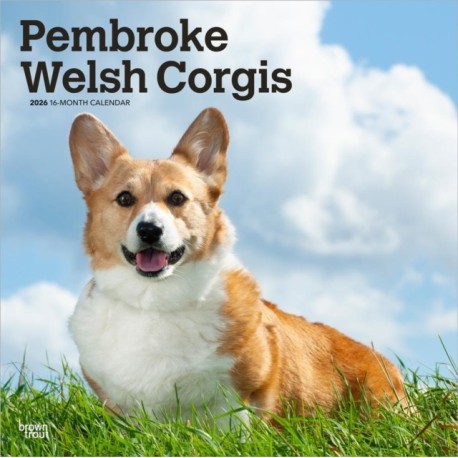 Welsh Corgis, Pembroke 2026 Square Flap Calendar