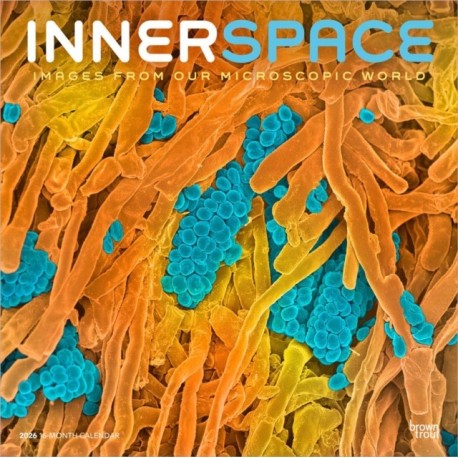 Microscopic World of Innerspace 2026 Square Flap Calendar