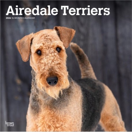 Airedale Terriers 2026 Square Flap Calendar
