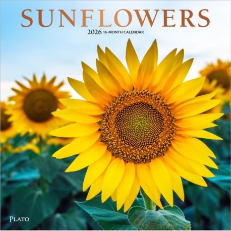 Sunflowers 2026 Square Plato Foil Calendar