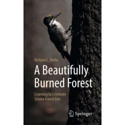 A Beautifully Burned Forest: Learning to Celebrate Severe Forest Fire