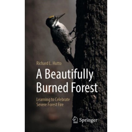 A Beautifully Burned Forest: Learning to Celebrate Severe Forest Fire