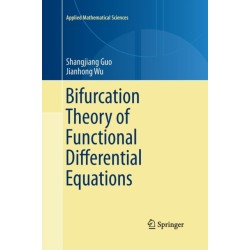 Bifurcation Theory of Functional Differential Equations