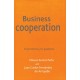 Business Cooperation: From Theory to Practice