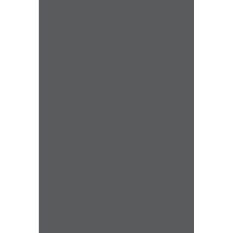 Pivoting: A Coach's Guide to Igniting Substantial Change