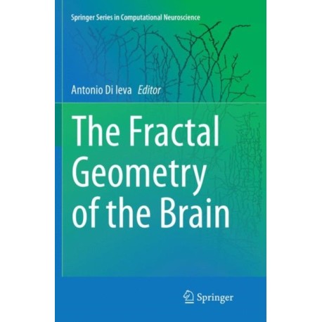 The Fractal Geometry of the Brain