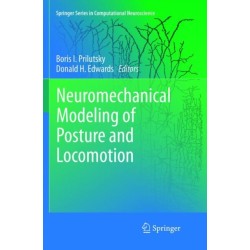 Neuromechanical Modeling of Posture and Locomotion