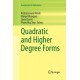 Quadratic and Higher Degree Forms