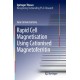 Rapid Cell Magnetisation Using Cationised Magnetoferritin