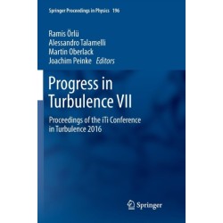 Progress in Turbulence VII: Proceedings of the iTi Conference in Turbulence 2016