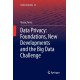 Data Privacy: Foundations, New Developments and the Big Data Challenge