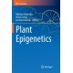 Plant Epigenetics