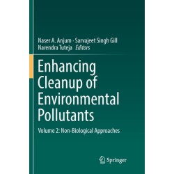 Enhancing Cleanup of Environmental Pollutants: Volume 2: Non-Biological Approaches