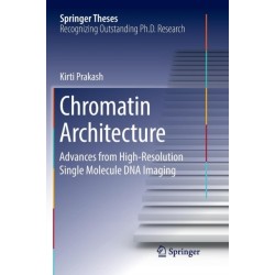 Chromatin Architecture: Advances From High-resolution Single Molecule DNA Imaging