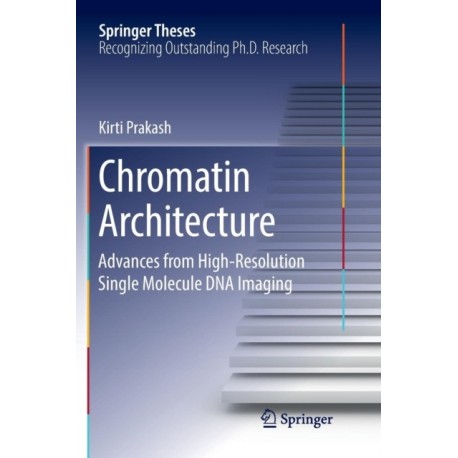 Chromatin Architecture: Advances From High-resolution Single Molecule DNA Imaging