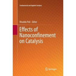 Effects of Nanocon?nement on Catalysis