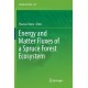 Energy and Matter Fluxes of a Spruce Forest Ecosystem