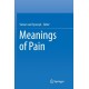 Meanings of Pain