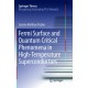 Fermi Surface and Quantum Critical Phenomena of High-Temperature Superconductors