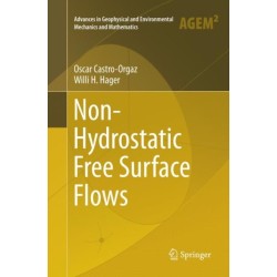 Non-Hydrostatic Free Surface Flows