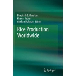 Rice Production Worldwide