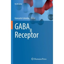 GABAB Receptor
