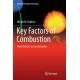 Key Factors of Combustion: From Kinetics to Gas Dynamics