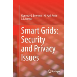 Smart Grids: Security and Privacy Issues
