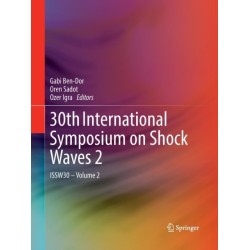 30th International Symposium on Shock Waves 2: ISSW30 - Volume 2