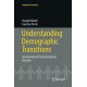Understanding Demographic Transitions: An Overview of French Historical Statistics