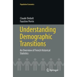 Understanding Demographic Transitions: An Overview of French Historical Statistics