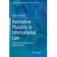 Normative Plurality in International Law: A Theory of the Determination of Applicable Rules