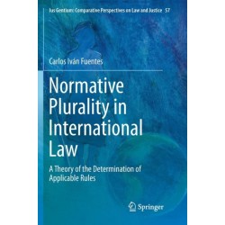 Normative Plurality in International Law: A Theory of the Determination of Applicable Rules