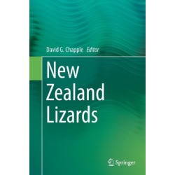 New Zealand Lizards