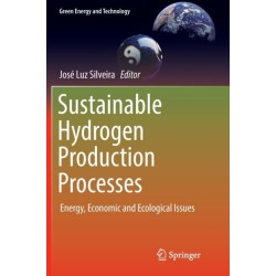 Sustainable Hydrogen Production Processes: Energy, Economic and Ecological Issues
