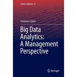 Big Data Analytics: A Management Perspective