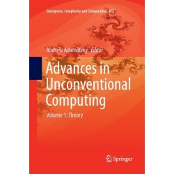 Advances in Unconventional Computing: Volume 1: Theory
